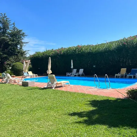 Il Gabbiano Azzurro